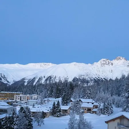 Daire Ova Cotschna 705